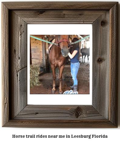 horse trail rides near me in Leesburg, Florida